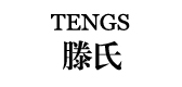 tengs/滕氏品牌LOGO