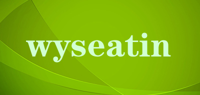 wyseatin品牌LOGO图片