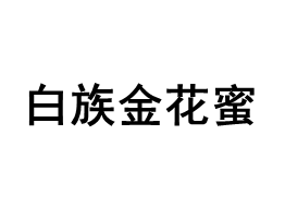 白族金花蜜品牌LOGO图片