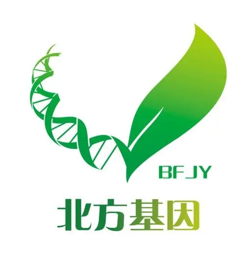 北方基因品牌LOGO图片