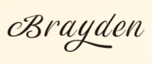 brayden/布莱登品牌LOGO图片