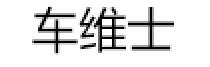 车维士品牌LOGO图片