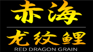 赤海龙纹鲤品牌LOGO图片
