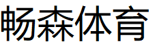 CSTY/畅森体育品牌LOGO图片