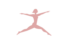 DANSKIN品牌LOGO图片