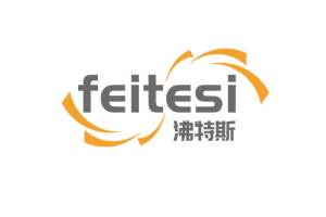 feitesi/沸特斯品牌LOGO图片