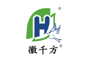 徽千方品牌LOGO图片