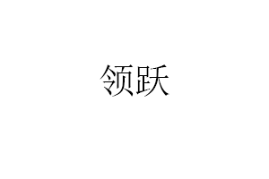 领跃品牌LOGO图片