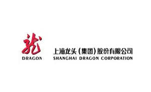 龙头股份品牌LOGO图片