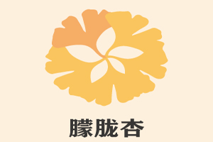 朦胧杏品牌LOGO