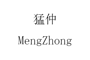 MengZhong/猛仲品牌LOGO