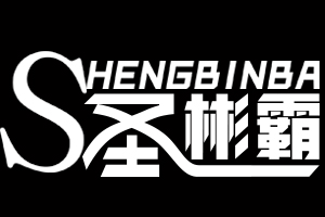 SHENG BIN Ba/圣彬霸品牌LOGO图片