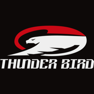 THUNDER BIRD品牌LOGO图片