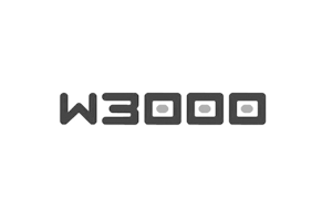 W3000品牌LOGO图片