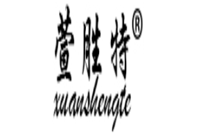 XUANSHENGTE/萱胜特品牌LOGO图片