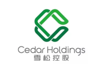 雪松发展品牌LOGO图片