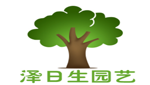 泽日生品牌LOGO图片
