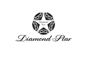 钻石星品牌LOGO图片