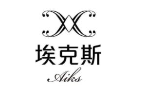 埃克斯资本品牌LOGO图片