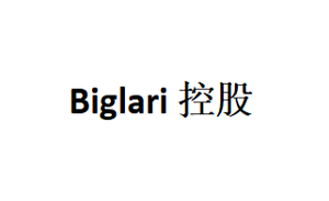 Biglari/控股品牌LOGO图片