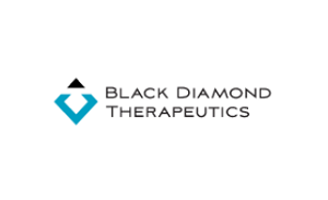 Black Diamond品牌LOGO图片