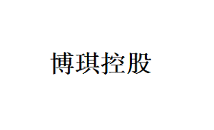 博琪控股品牌LOGO图片
