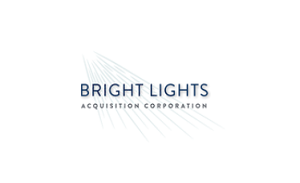 Bright Lights品牌LOGO图片