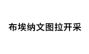布埃纳文图拉开采品牌LOGO图片