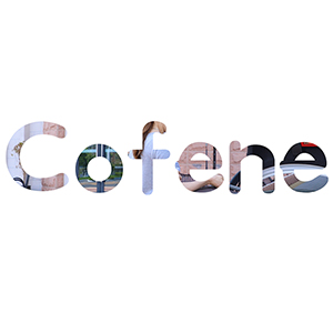 cofene/可菲尼品牌LOGO图片