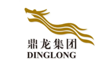鼎龙文化品牌LOGO图片