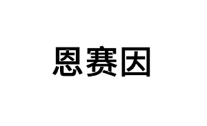 恩赛因品牌LOGO图片