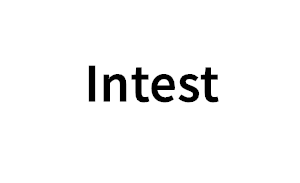 Intest品牌LOGO图片