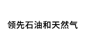 领先石油和天然气品牌LOGO图片