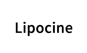 Lipocine品牌LOGO图片