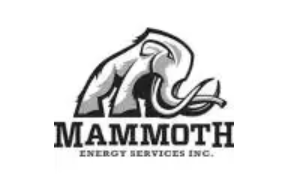 Mammoth Energy品牌LOGO图片