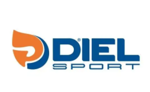 美国迪进国际品牌LOGO图片