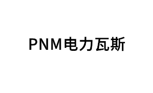 PNM电力瓦斯品牌LOGO图片