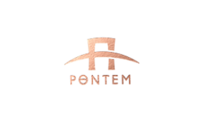Pontem品牌LOGO图片