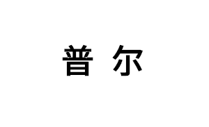 普尔品牌LOGO图片