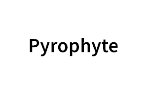Pyrophyte品牌LOGO图片