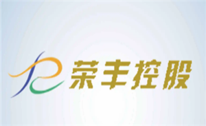 荣丰控股品牌LOGO图片