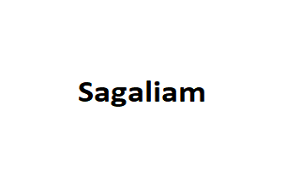 Sagaliam品牌LOGO图片