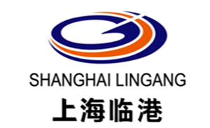 上海临港品牌LOGO图片