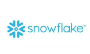 Snowflake品牌LOGO图片