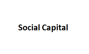 Social Capital品牌LOGO图片