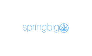 SpringBig Holdings品牌LOGO图片