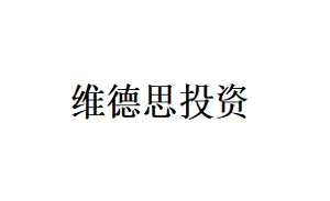维德思投资品牌LOGO图片