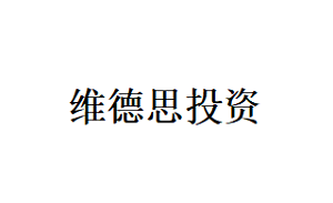 维德思投资品牌LOGO图片