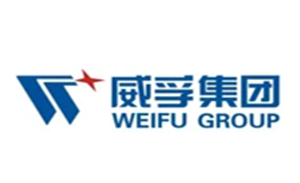 威孚高科品牌LOGO图片