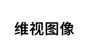 维视图像品牌LOGO图片